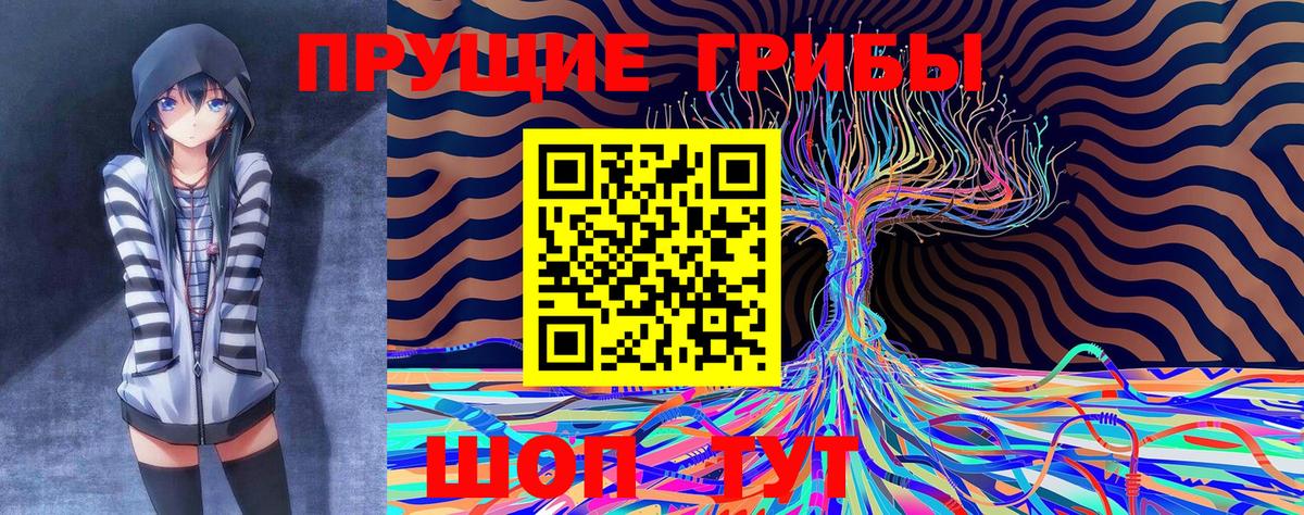 Сафоново  Псилоцибиновые грибы прущие грибы  Вход с VPN 