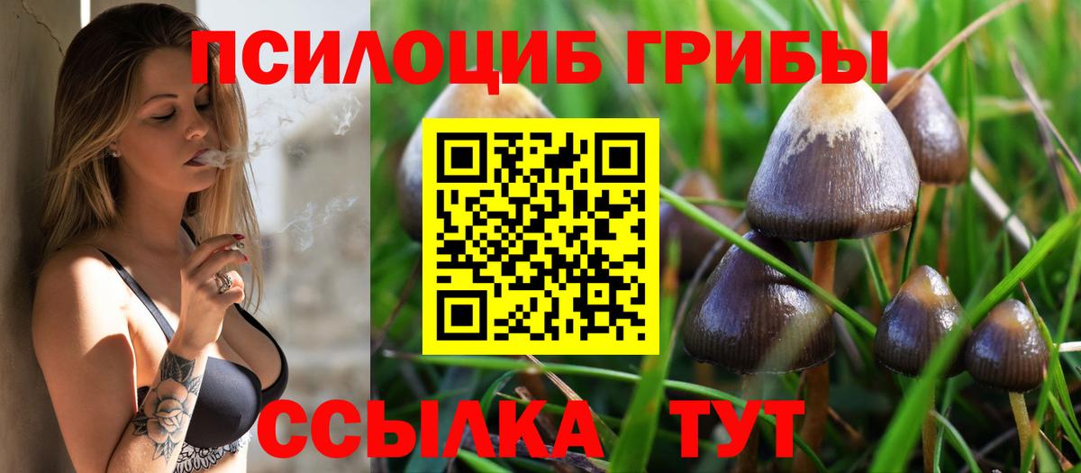 Галлюциногенные грибы MAGIC MUSHROOMS Сафоново